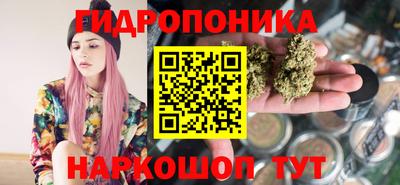 соль ск Лесосибирск