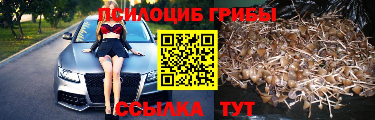 Тихорецк  Галлюциногенные грибы мухоморы  Галлюциногенные грибы Psilocybine cubensis  Вход с VPN 