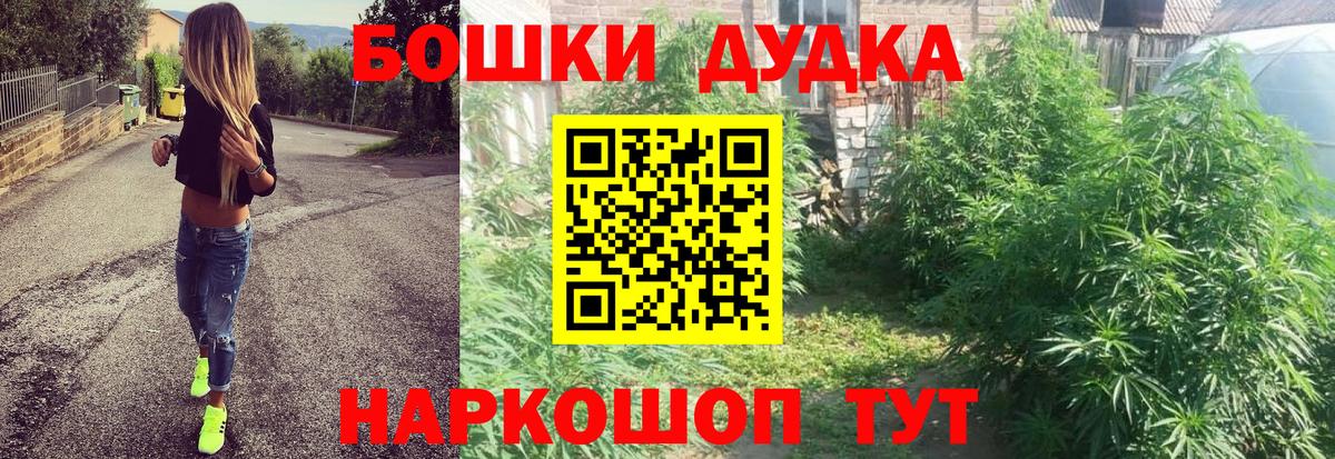 Шишки марихуана планчик  Конопля планчик  Вход с VPN  Тихорецк  Канабис семена 